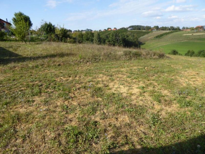 Radenci GRUNDSTÜCK IN DEN WEINBERGEN VON RADENCI, NUR 16 km BIS BAD RADKERSBURG,und 80 KM BIS GRAZ Haus kaufen